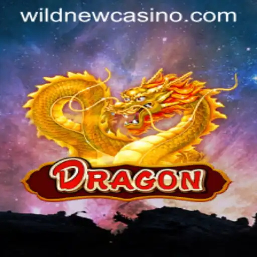 Unveiling the Excitement of Dragon at Wild Casino