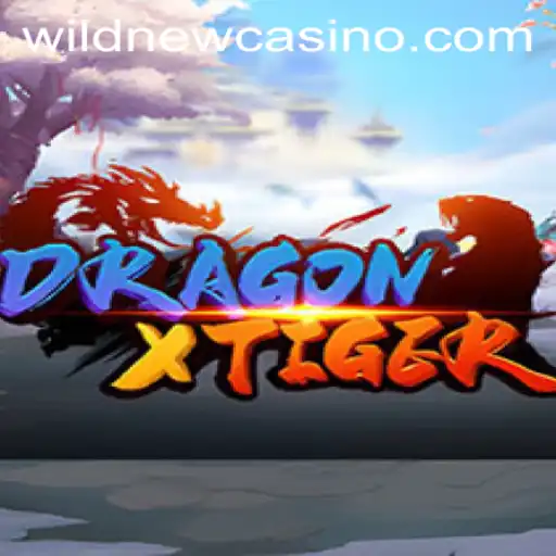 The Adventurous World of DragonXTiger at Wild Casino