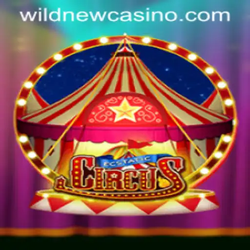 Explore the Thrilling World of EcstaticCircus in Wild Casino
