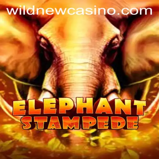 Explore the Thrill of ElephantStampede: A Wild Casino Adventure
