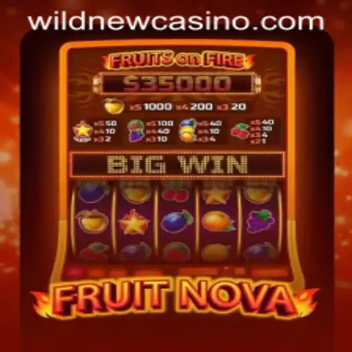 An In-Depth Look at FruitNova: The Exciting Game at Wild Casino