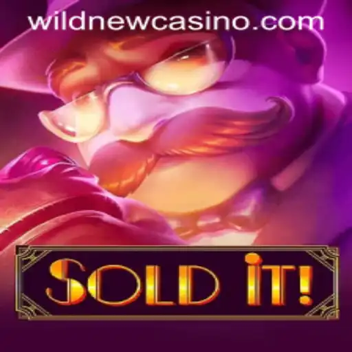 Exploring the Thrilling Realm of Soldit: The Wild Casino Adventure